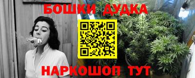 прущие крисы Конаково