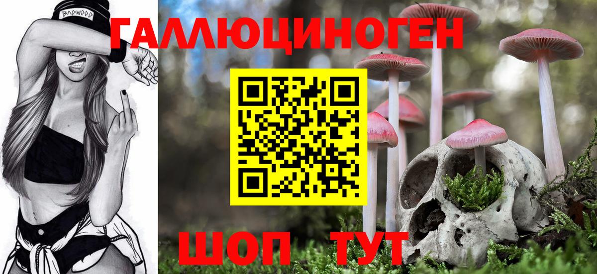 даркнет сайт  Галлюциногенные грибы Psilocybe  Вход с VPN  Курган 